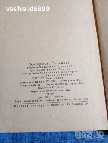 Мигел де Карион - Порочните , снимка 5 - Художествена литература - 51276482