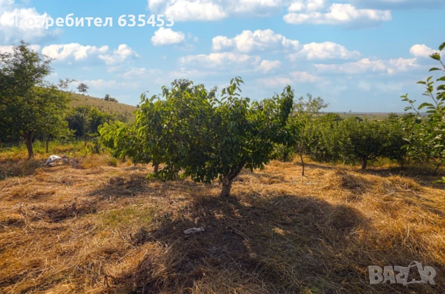 Продава 205 м2 обзаведена къща с 4000 м2 двор  на 7 км от Провадия, снимка 6 - Къщи - 51003113