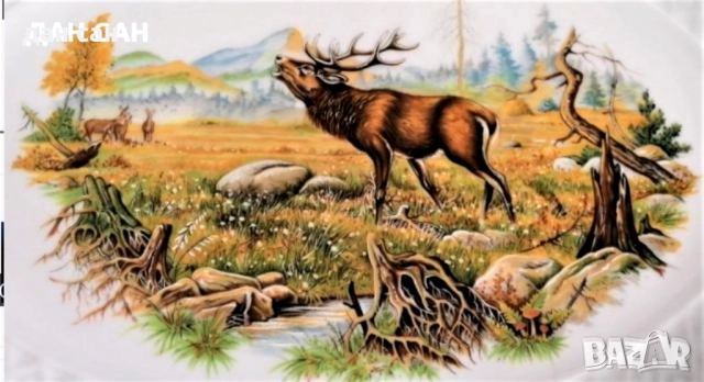 Колекционерски порцелан чинии , снимка 7 - Колекции - 29590554