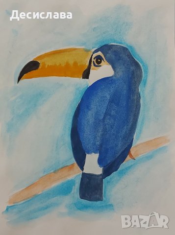 Тукан рисунка акварел размер А4, снимка 1