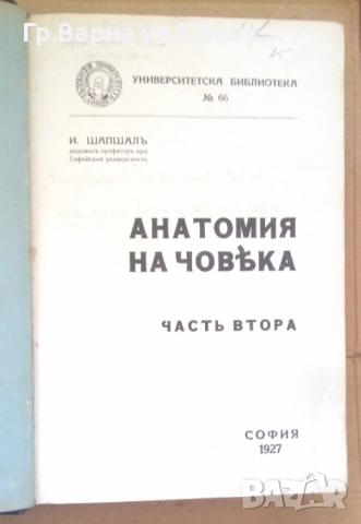 Анатомия на човека част 2  И.Шапшал 1927г  12лв, снимка 2 - Специализирана литература - 51812056