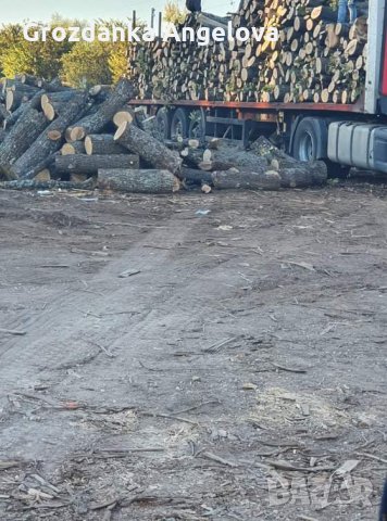 Дърва за огрев , снимка 9 - Дърва за огрев - 31555793