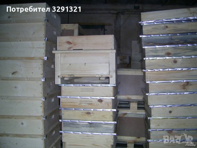 Пчелни Кошери, снимка 7 - Други животни - 39543885