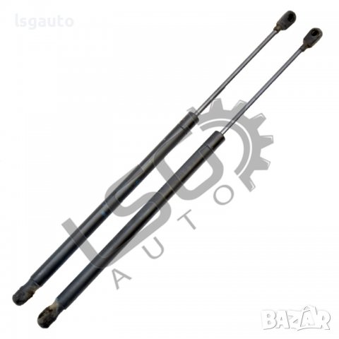 Амортисьори заден капак Renault Scenic II 2004-2009 RM030522N-96