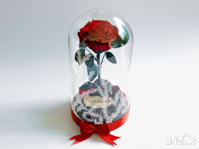 Подарък за Коледа за Жена - Естествена Вечна Роза в Голяма Стъкленица / Подарък за Съпругата, снимка 9 - Подаръци за жени - 52529750