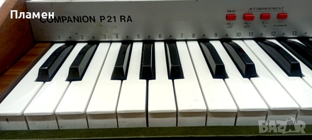 Италиански професионален синтезатор, йоника от 70-те години., снимка 2 - Синтезатори - 51103416