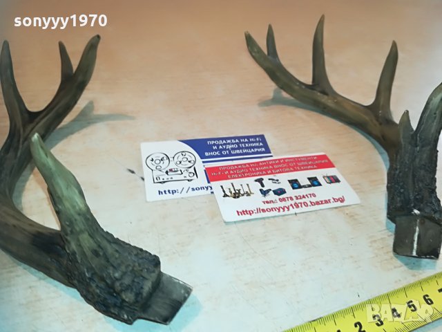 рога комплект 2бр 2005212045, снимка 9 - Антикварни и старинни предмети - 32947574