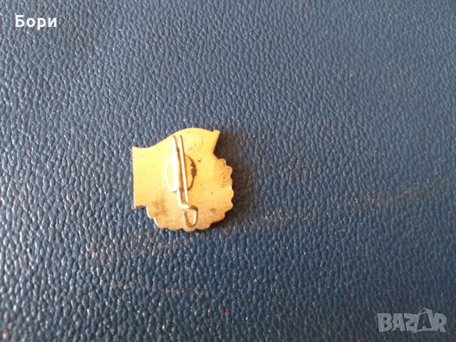 ГДР пионерски училищен награден знак., снимка 4 - Други ценни предмети - 27885726