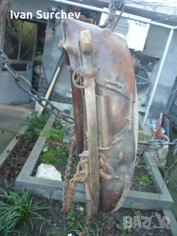 ХАМУТ ЗА КОН ОТ ПЕТДЕСТТЕ ГОДИНИ, снимка 5 - Други животни - 53256404