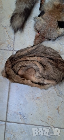 Кожа шал от лисица , снимка 14 - Антикварни и старинни предмети - 52920531