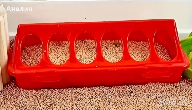 Хранилка за пилета, кокошки, гълъби, снимка 3 - За птици - 49815170