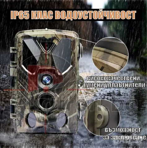 Ловни камери, снимка 4 - Камери - 47716395