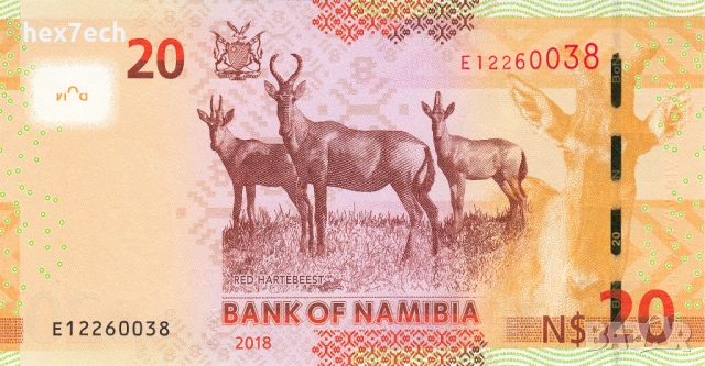 ❤️ ⭐ Намибия 2018 20 долара UNC нова ⭐ ❤️, снимка 3 - Нумизматика и бонистика - 52886308