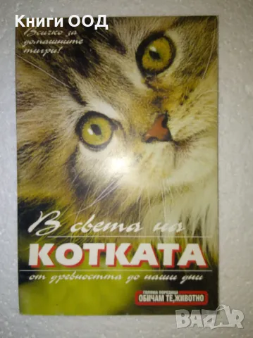 В света на котката.., снимка 1