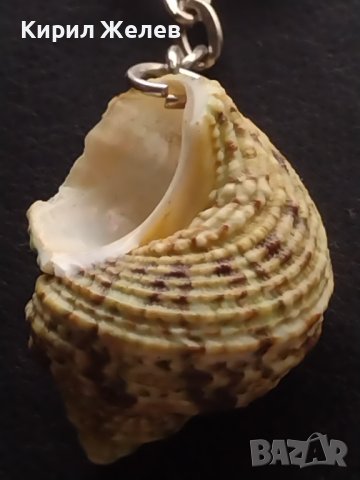 Красив ключодържател МОРСКА РАКОВИНА подходящ аксесоар за раници 36512, снимка 3 - Други - 43513582