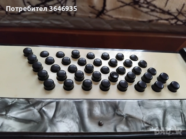 Акордеон Велтмейстер 40 баса с 4 регистъра., снимка 3 - Акордеони - 53132194