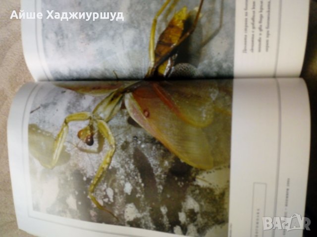 Списание на NATIONAL GEOGRAPHIC, снимка 2 - Списания и комикси - 27601619