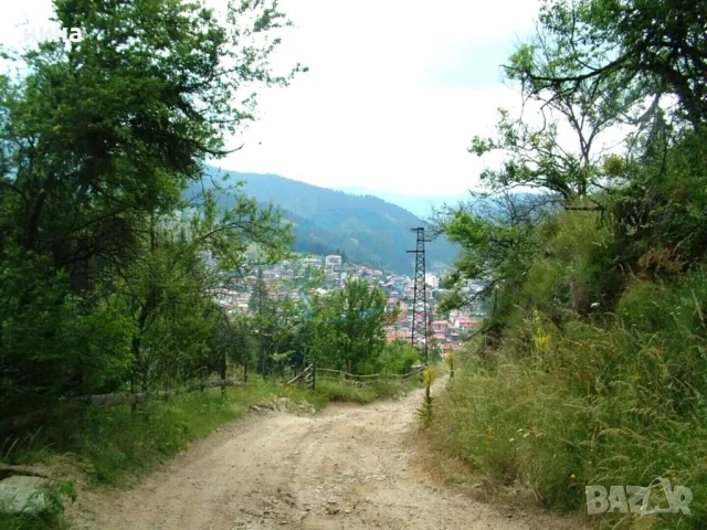 УПИ в гр. Чепеларе с постройки , снимка 3 - Къщи - 48893850