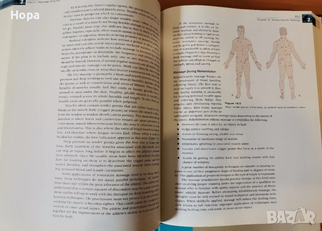 Учебници на английски език за масажисти, снимка 7 - Чуждоезиково обучение, речници - 51348706