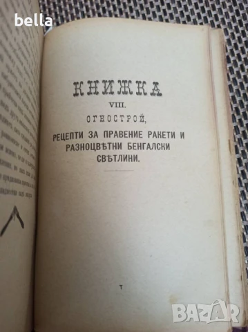 Антикварно рядко издание -Разни искуства-П.Н.Милев 1891 год., снимка 13 - Антикварни и старинни предмети - 50928356