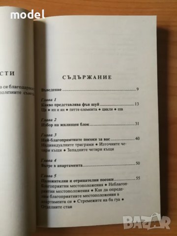 Фън Шуй за апартамента - Ричард Уебстър, снимка 3 - Други - 48800207