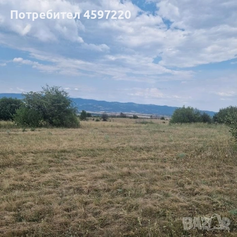 продавам поземлен имот с площ 10 001 кв.м в землището на град Долна баня