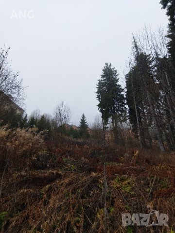 Продава парцел в к.к. Пампорово , снимка 7 - Парцели - 34851745