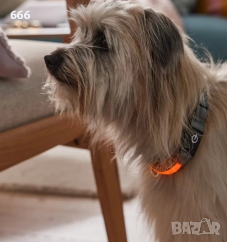 Zoofari® LED каишка за куче, снимка 2 - За кучета - 52941064