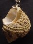 Красив ключодържател МОРСКА РАКОВИНА подходящ аксесоар за раници 36512, снимка 3