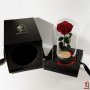 Романтичен подарък за приятелка / ЕСТЕСТВЕНА вечна роза в стъкленица / Подарък за Рожден Ден на Жена, снимка 3