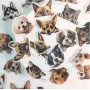 2 вид 50 бр породи куче кучета коте котки микс самозалепващи лепенки стикери украса картонена торта, снимка 3