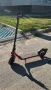 Електрическа тротинетка ninebot d28c, снимка 2