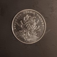 1 юан Китай 2002  Китайска монета 中国人民银行 1元 2002年, снимка 4 - Нумизматика и бонистика - 43556248
