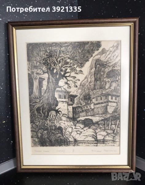 Картина офорт “Старият бряст”, снимка 1