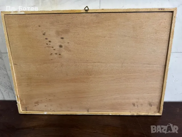 Стара картина, снимка 5 - Картини - 48279892