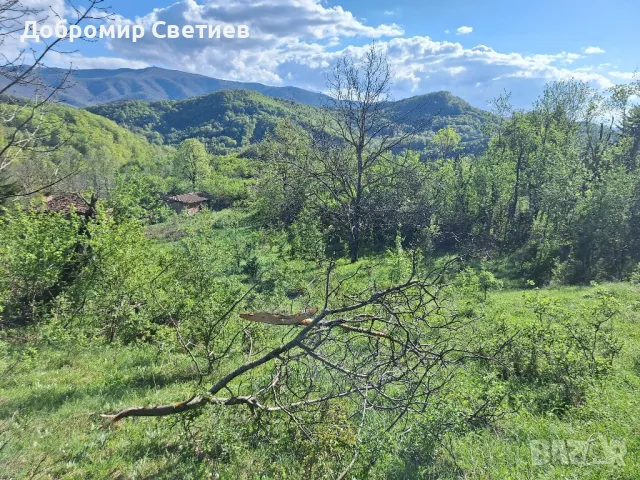 парцел в Еленският балкан , снимка 2 - Парцели - 50342176