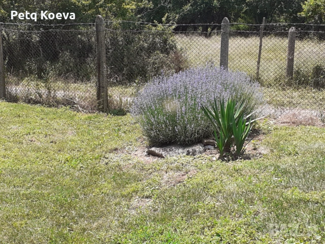 Къща за продажба в с.Странджа, снимка 18 - Вили - 53162428