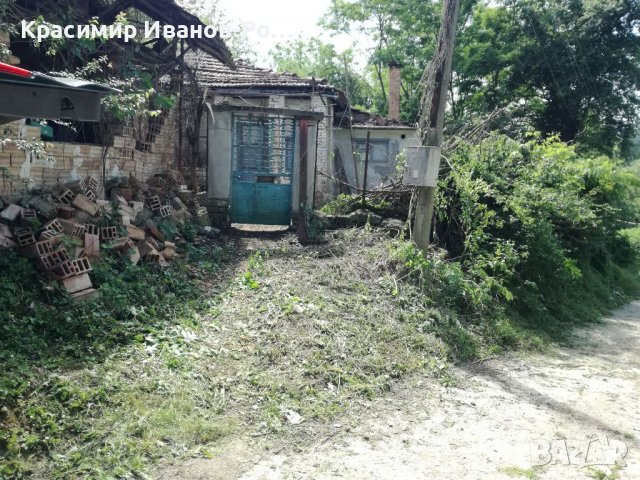 Косене на трева, почистване на дворове от капини, кастрене на дървета, снимка 10 - Други почистващи услуги - 36635077