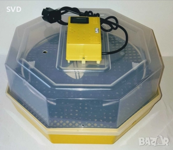 Инкубатор Cleo 5