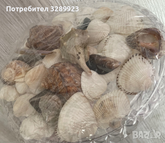 Морско дъно