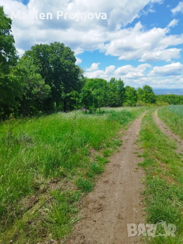 Парцел 