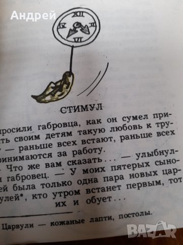 Книга Габровски Шеги #4, снимка 4 - Художествена литература - 44103494