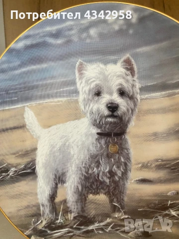 Колекционерска чиния от серия “ Westies”., снимка 2 - Антикварни и старинни предмети - 50811982