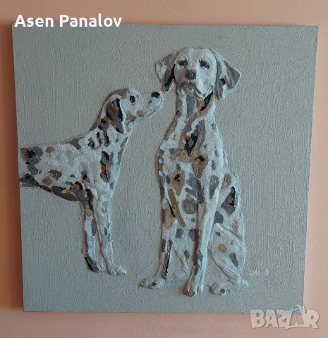 Далматинци 80/80см