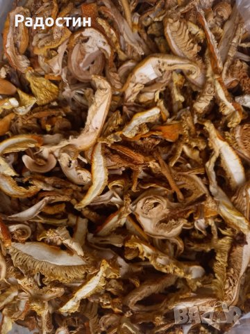 Суха Манатарка Челадинка Булка Пачи крак , снимка 3 - Други стоки за дома - 43181992