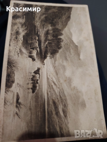 ПОЩЕНСКА Картичка Швейцария. , снимка 5 - Филателия - 52778234