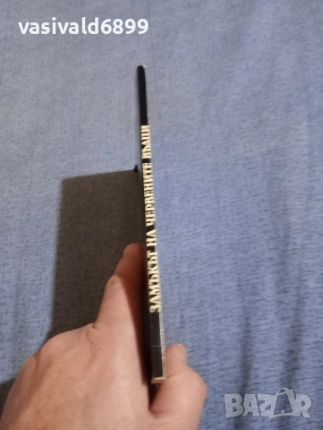 Рони - Замъкът на червените вълци , снимка 2 - Художествена литература - 52762423