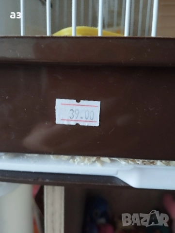 Продавам мъжки хамстер на 4 месеца , снимка 4 - Хамстери - 52533591