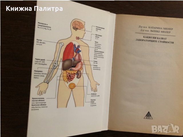 Какво ни казват лабораторните стойности Катарина Мюлер, снимка 2 - Други - 33666240