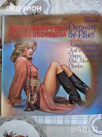 Грамофонни плочи разнообразие 12